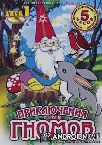 Приключения в стране Гномов / David el gnomo