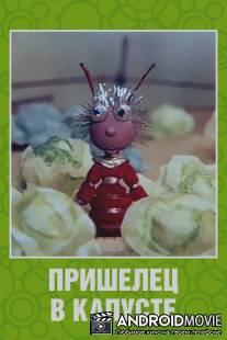 Пришелец в капусте / Prishelets v kapuste