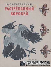 Растрёпанный воробей / Rastryopanniy vorobey
