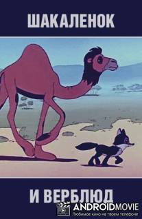 Шакаленок и верблюд