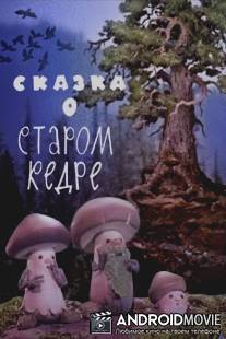 Сказка о старом кедре / Skazka o starom kedre