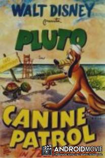 Собачий патруль / Canine Patrol