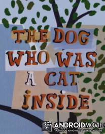 Собака, бывшая в душе кошкой / Dog Who Was a Cat Inside, The