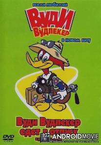 Вуди Вудпеккер / New Woody Woodpecker Show, The