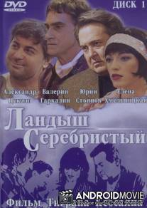 Ландыш серебристый / Landysh serebristyy