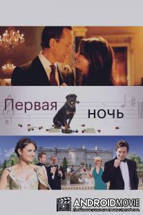 Первая ночь / First Night