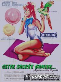 Строптивая девчонка / Cette sacree gamine