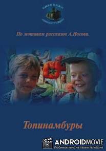 Топинамбуры / Topinambury