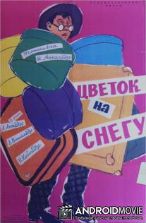 Цветок на снегу / Kvavili tovlze
