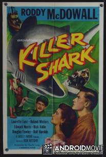 Акула-убийца / Killer Shark