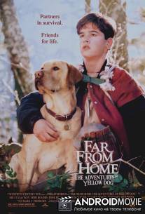 Далеко от дома: Приключения желтого пса / Far from Home: The Adventures of Yellow Dog