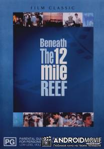 Коралловый риф / Beneath the 12-Mile Reef