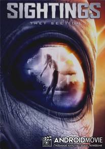 Наблюдения / Sightings