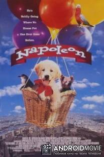 Наполеон / Napoleon