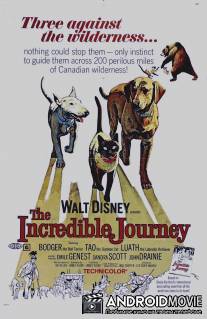 Невероятное путешествие / Incredible Journey, The