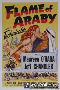 Пламя Аравии / Flame of Araby