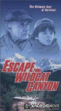 Побег из каньона дикой кошки / Escape from Wildcat Canyon