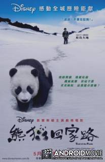 След панды / Xiong mao hui jia lu