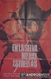 В сельве нет звезд / En la selva no hay estrellas