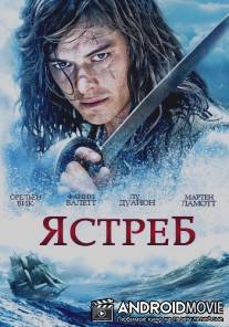 Ястреб / L'epervier