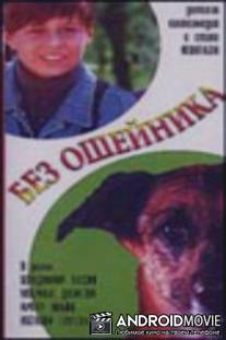 Без ошейника / Bez osheynika
