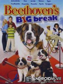 Большой прорыв Бетховена / Beethoven's Big Break
