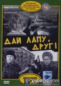 Дай лапу, Друг / Day lapu, drug!