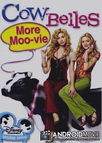 Красавицы Коровы / Cow Belles