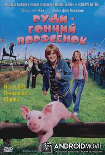 Руди - гончий поросенок / Rennschwein Rudi Russel 2 - Rudi rennt wieder!