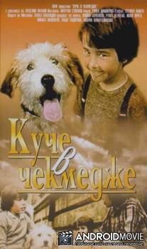 Собака в ящике / Kuche v chekmedzhe