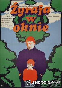 Жираф в окне / Zirafa v okne