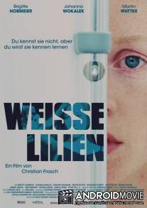 Белые лилии / Weisse Lilien
