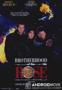 Братство розы / Brotherhood of the Rose