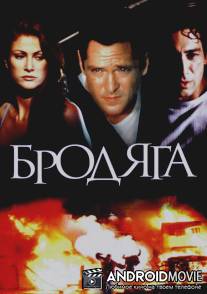 Бродяга / Stray, The