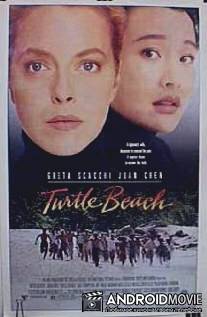 Черепаший берег / Turtle Beach