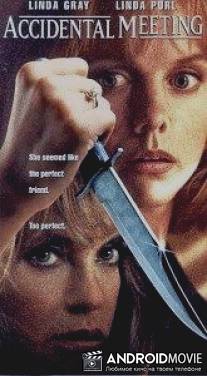 Дамский заговор / Accidental Meeting
