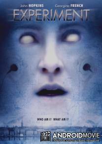 Эксперимент / Experiment