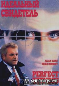Идеальный свидетель / Perfect Witness