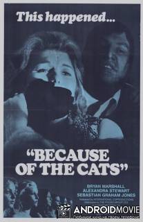 Из-за кошек / Because of the Cats