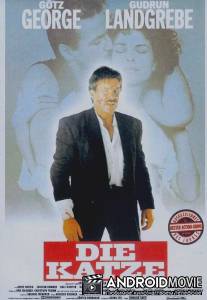 Кошка / Die Katze