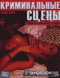 Криминальные сцены / Reasonable Doubt