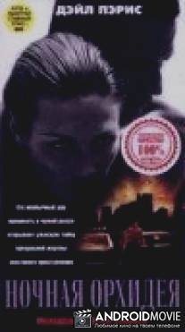 Ночная орхидея / Night Orchid