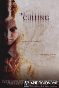 Отбор / Culling, The