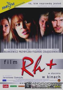 Резус положительный / Rh+