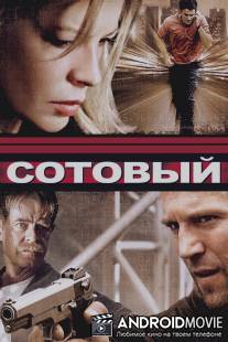 Сотовый / Cellular