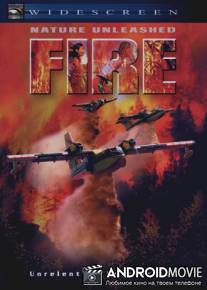 Стихия огня / Nature Unleashed: Fire