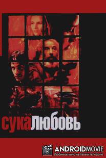 Сука-любовь / Amores perros