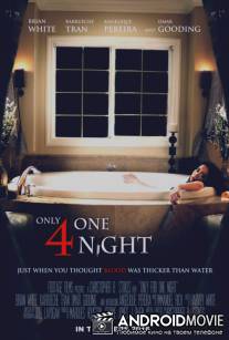 Только на одну ночь / Only for One Night