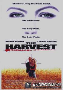 Урожай / Harvest, The