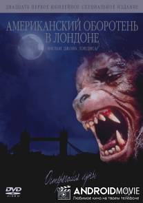 Американский оборотень в Лондоне / An American Werewolf in London